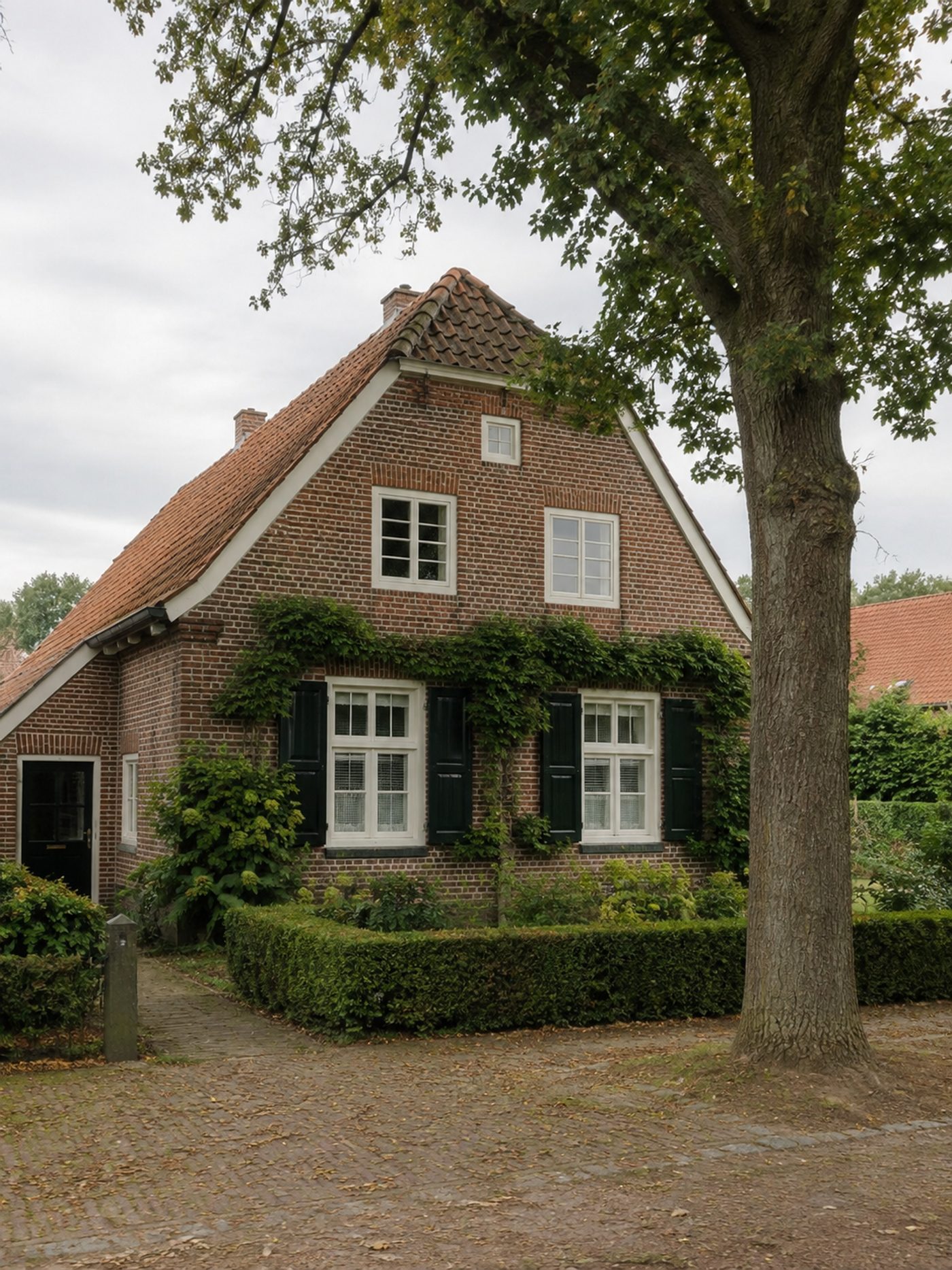 Münster & Münsterland